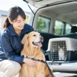 ペットタクシー COCOタクのビジネスイメージ