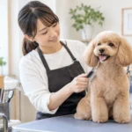 犬の美容室 I's Dog【アイズドッグ】のビジネスイメージ
